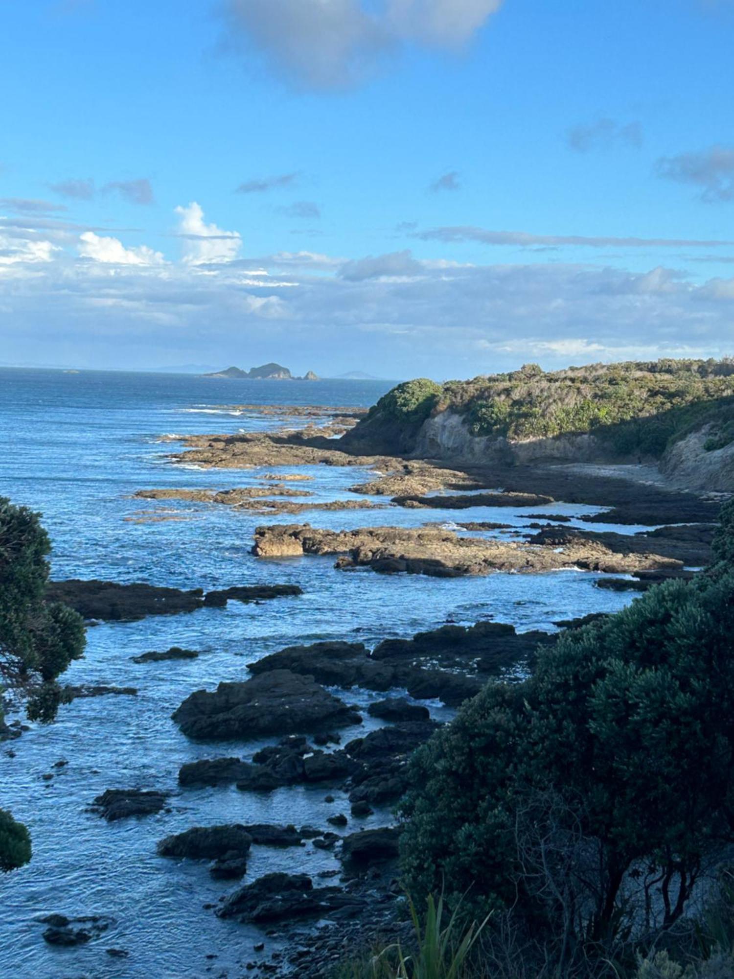 Green Turtle Cottage Pukenui Exterior photo